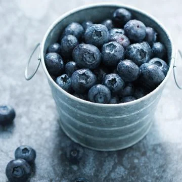 Blueberry Stock Photos