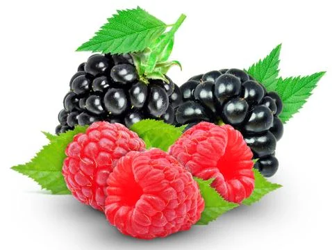 Blueberry Stock Photos