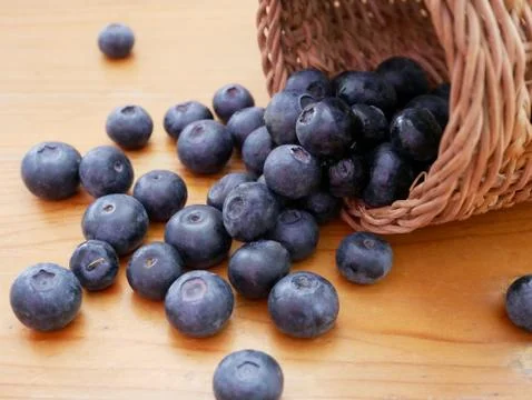 Blueberry Stock Photos