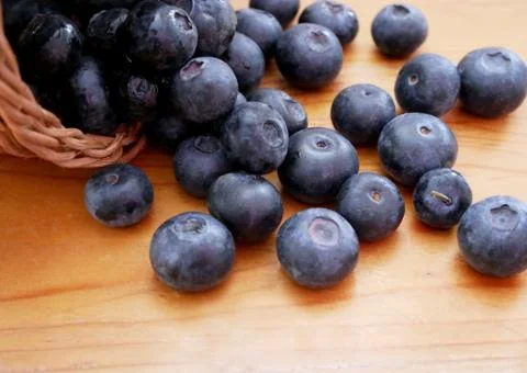 Blueberry Stock Photos