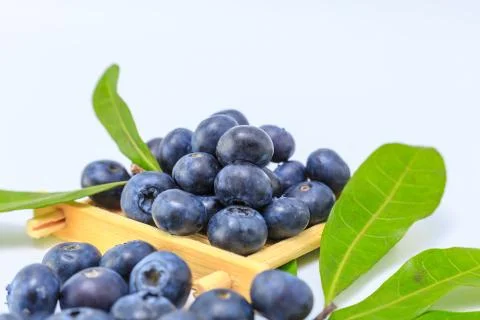 Blueberry Stock Photos