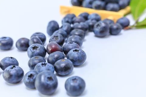 Blueberry Foto stock
