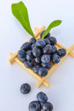 Blueberry Stock Photos