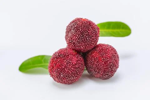 Blueberry Stock Photos