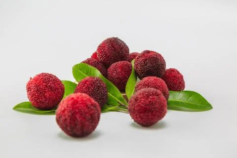 Blueberry Stock Photos