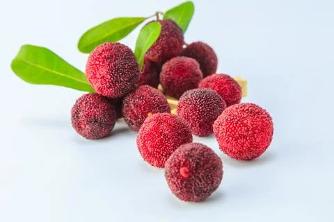 Blueberry Foto stock