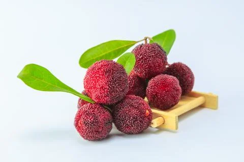 Blueberry Stock Photos