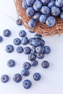 Blueberry Stock Photos