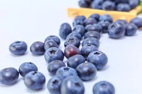 Blueberry Stock Photos