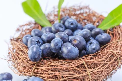 Blueberry Stock Photos