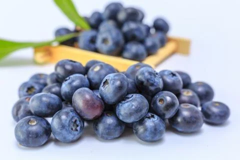 Blueberry Stock Photos
