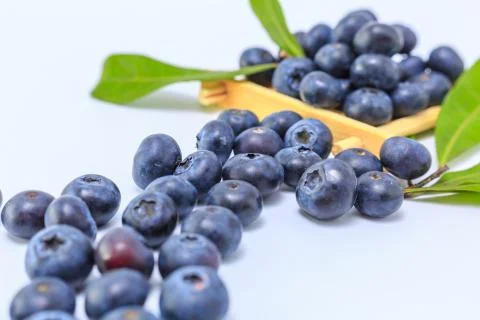 Blueberry Stock Photos
