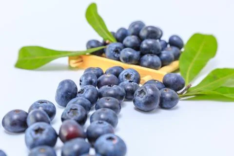 Blueberry Stock Photos