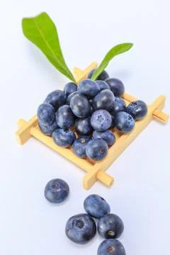 Blueberry Stock Photos