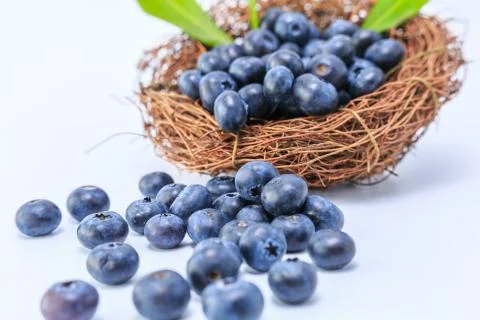 Blueberry Stock Photos