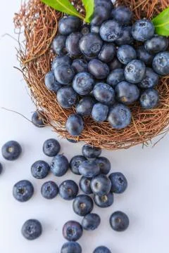 Blueberry Stock Photos