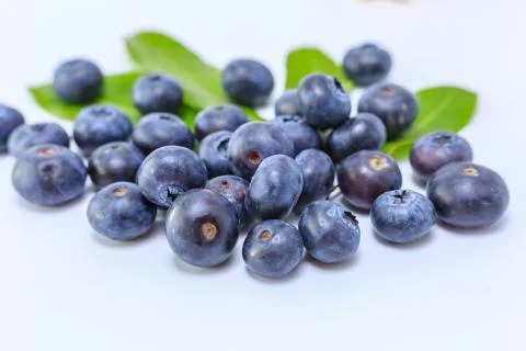 Blueberry Stock Photos
