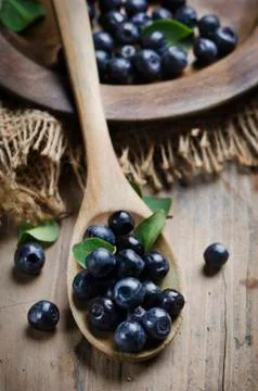 Blueberry Foto stock