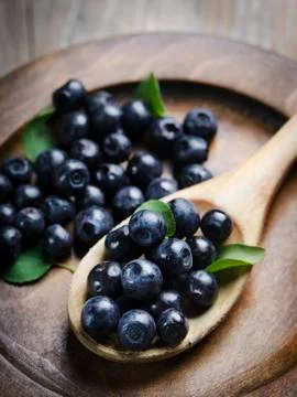 Blueberry Stock-Fotos