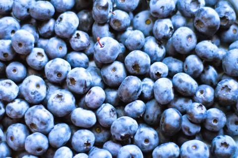 Blueberry Foto stock
