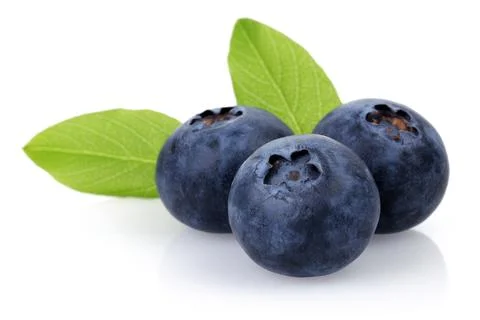 Blueberry Foto stock