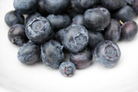 Blueberry pile of blueberries fruit background with copy space Stock Photos