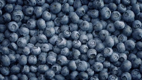 Blueberry Pile Turning Slowly Stock Footage