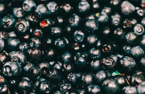 Blueberry In Plate Stock Photos