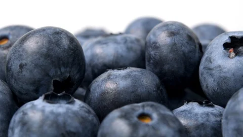 Blueberry rotating close-up on white background Stock Footage 105584739