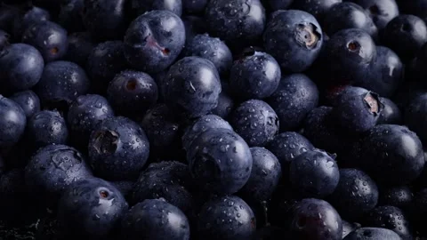 Blueberry Sensation: Macro View of Rotating Blueberries in Exquisite Detail Stock Footage 244704431