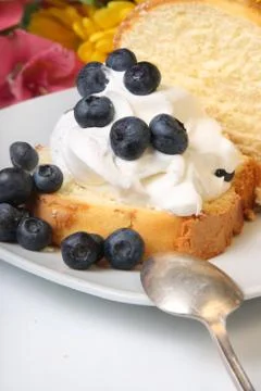 Blueberry shortcake Stock Photos
