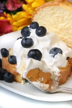 Blueberry shortcake Stock Photos