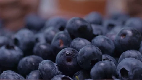 Blueberry slowly falls Stock Footage 75234904