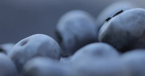 Blueberry Surface Texture in Extreme Macro Rotation Vídeo Stock 135635688