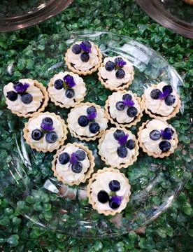 Blueberry tart sorted in a glass plate on the green grass. Stock Photos