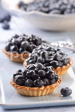 Blueberry tartlets Stock Photos