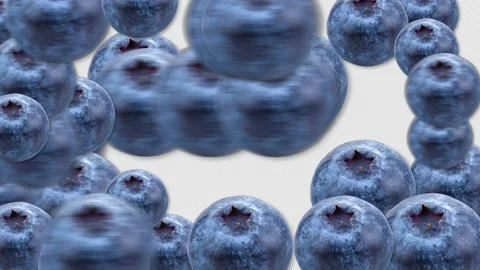 Blueberry Transition Animation With Alph... | Stock Video | Pond5