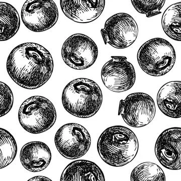 Blueberry vector seamless pattern drawing. Isolated hand drawn berry Stock Illustration