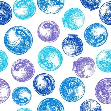 Blueberry vector seamless pattern drawing. Isolated hand drawn b Stock Illustration