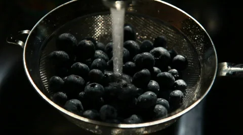 Blueberry wash Video stock 477972