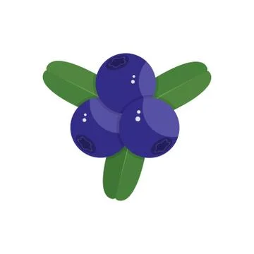Blueberry on white background Stock Illustration