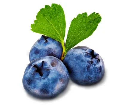 Blueberry  on white background. Stock Photos