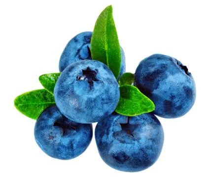 Blueberry  on white background. Stock Photos