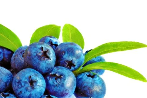 Blueberrys with leaf  on white background. Stock Photos