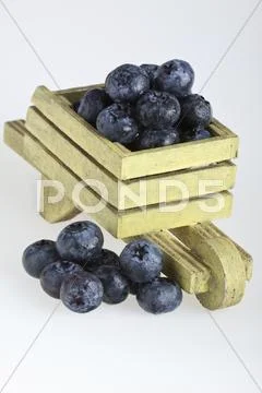 Blueberrys Stock Photos