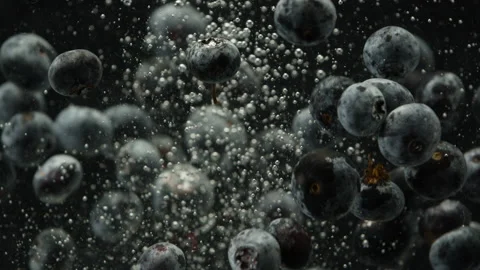 BlueberryTankTight02 Stock Footage 147553679