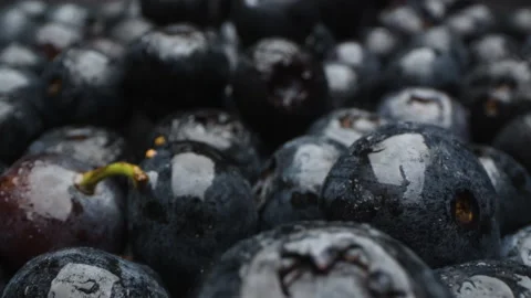 BlueberryTrack01 Stock Footage 147554286