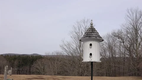 Bluebird house on a pole Stock Footage 270095542
