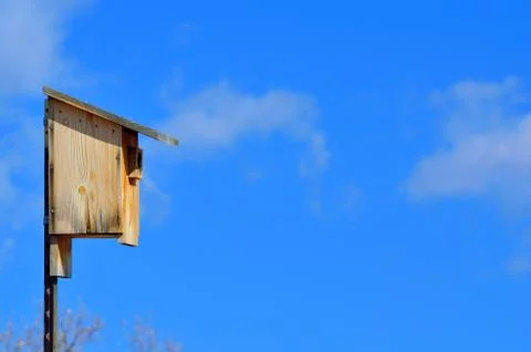 Bluebird nesting box Stock Photos