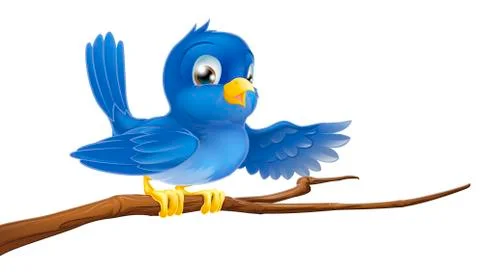 Bluebird sitting on  branch pointing Stock Illustration